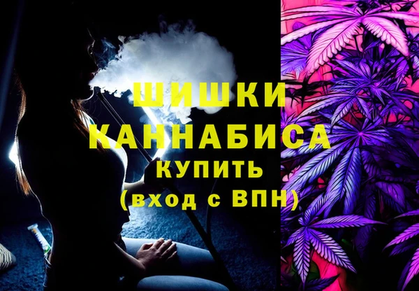 ПСИЛОЦИБИНОВЫЕ ГРИБЫ Аркадак