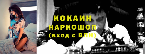 ПСИЛОЦИБИНОВЫЕ ГРИБЫ Аркадак