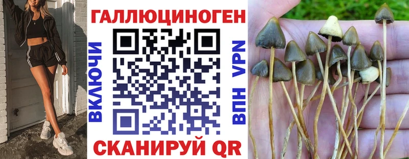 гидра ссылка  купить наркотики сайты  Оханск  Псилоцибиновые грибы Magic Shrooms 